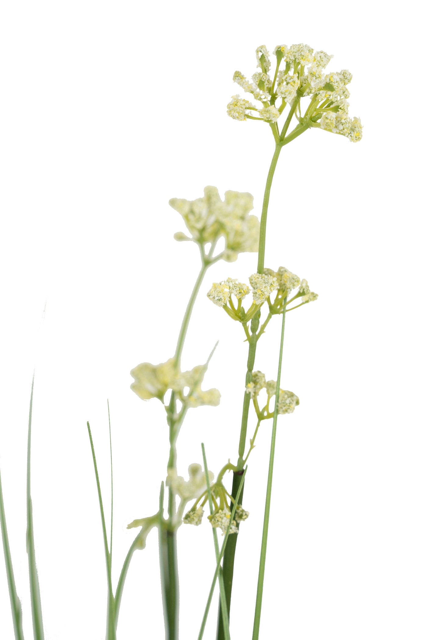 Iarba artificiala Onion 120 cm cu 10 flori de praz albe