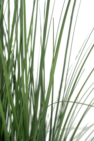 Iarba artificiala Onion 120 cm cu 10 flori de praz verzi