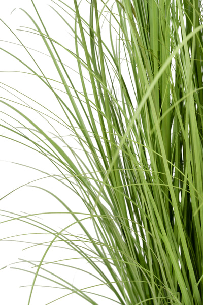 Iarba artificiala Onion 120 cm cu 11 flori de morcov albe