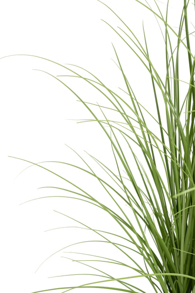 Iarba artificiala Onion 120 cm cu 11 flori de morcov albe