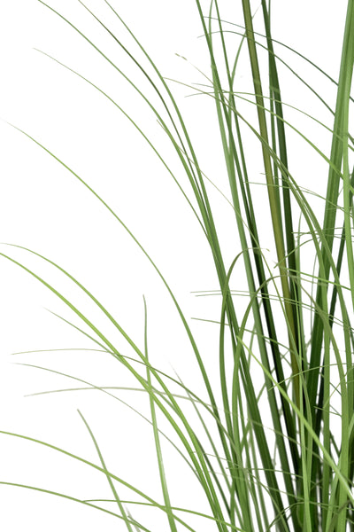 Iarba artificiala Onion 120 cm cu 11 flori de morcov galbene