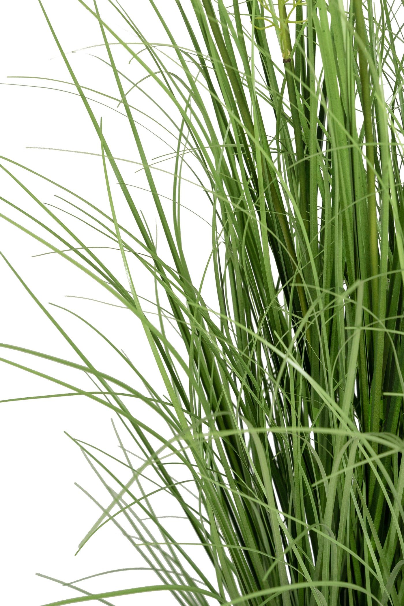 Iarba artificiala Onion 120 cm cu 11 flori de morcov galbene