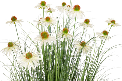 Iarba artificiala Onion 120 cm cu 17 flori de crizantema