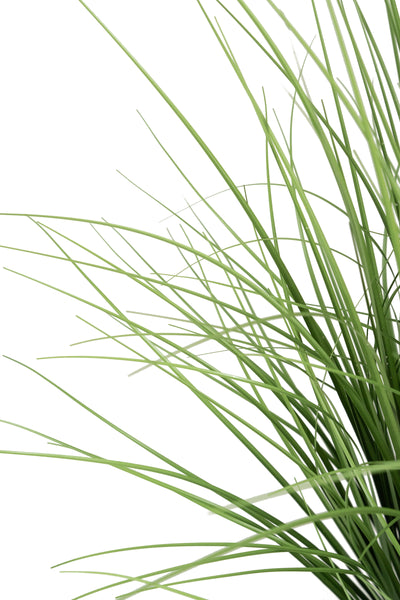 Iarba artificiala Onion 120 cm cu 22 flori de praz albe