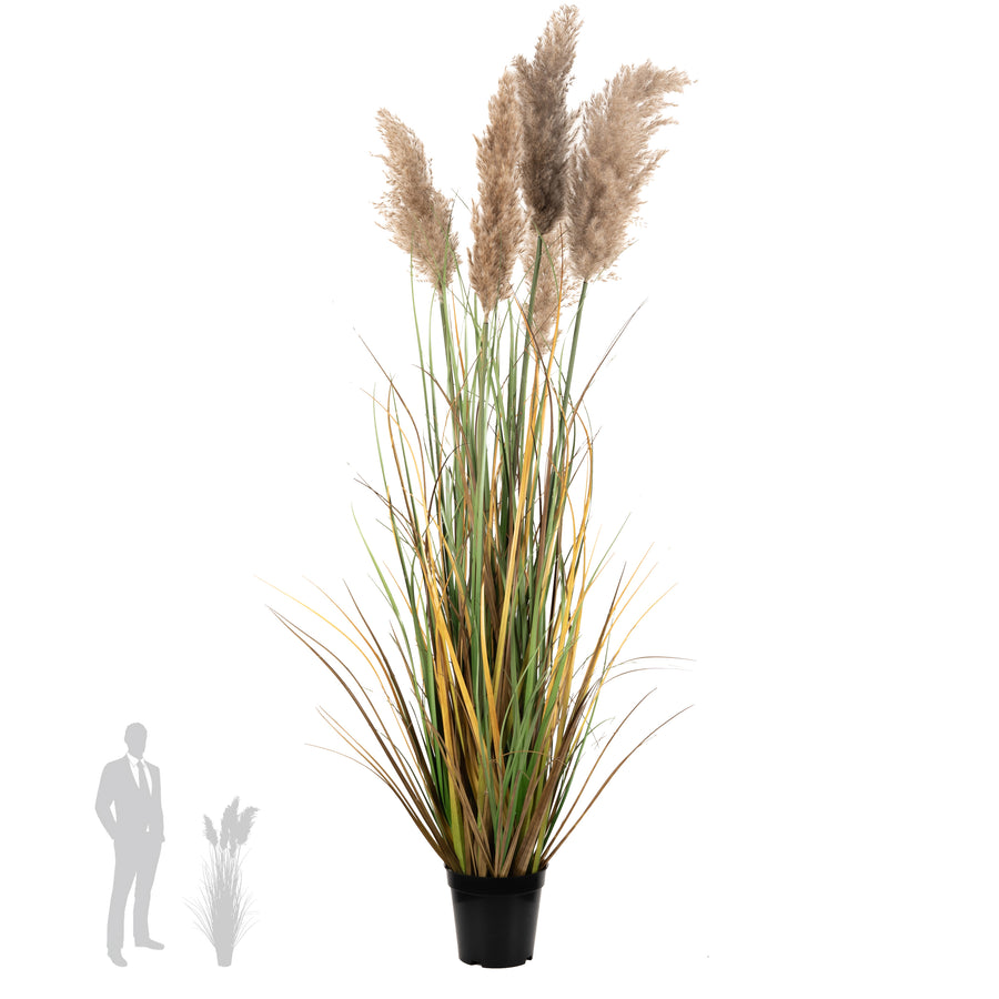 Iarba artificiala Onion 120 cm cu 5 flori naturale de pampas bej deschis