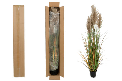 Iarba artificiala Onion 120 cm cu 5 flori naturale de pampas bej deschis