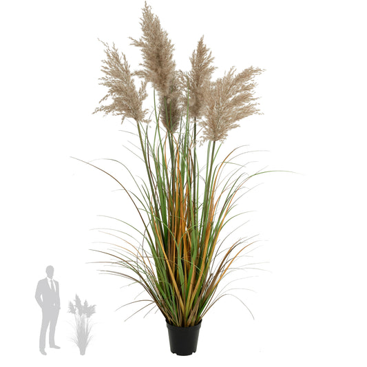 Iarba artificiala Onion 120 cm cu 5 flori naturale de pampas bej deschis