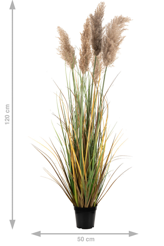 Iarba artificiala Onion 120 cm cu 5 flori naturale de pampas bej deschis