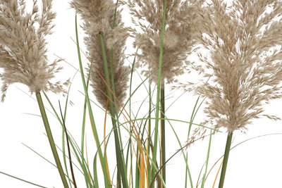 Iarba artificiala Onion 120 cm cu 5 flori naturale de pampas bej deschis
