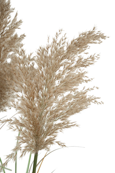 Iarba artificiala Onion 120 cm cu 5 flori naturale de pampas bej deschis