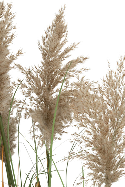 Iarba artificiala Onion 120 cm cu 5 flori naturale de pampas bej deschis