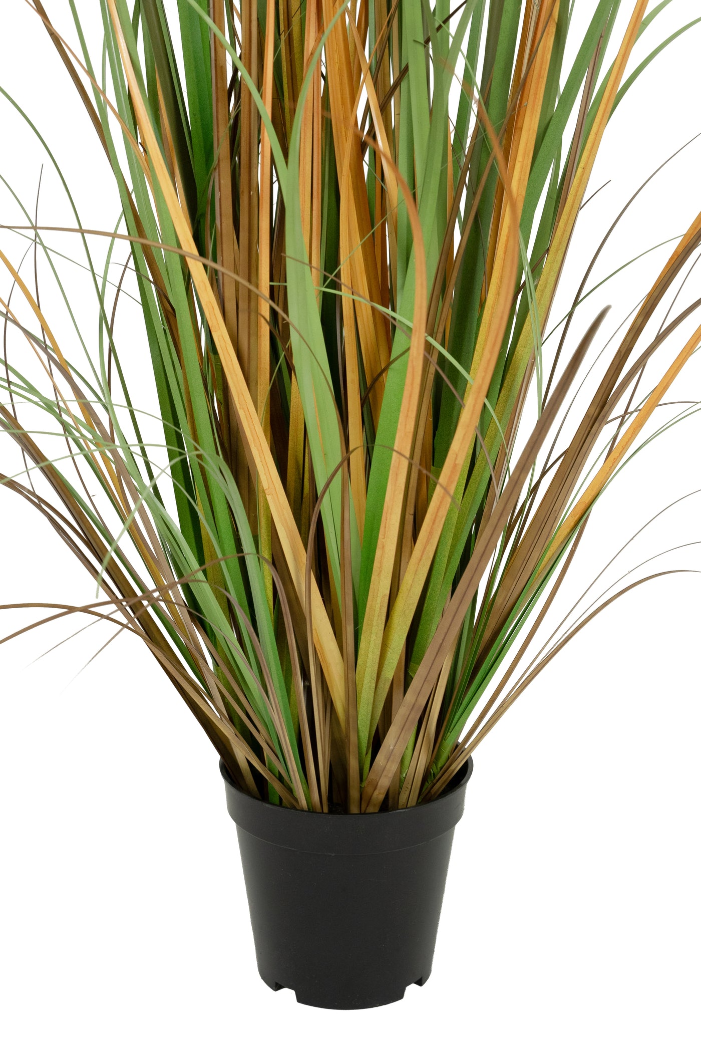 Iarba artificiala Onion 120 cm cu 5 flori naturale de pampas bej deschis