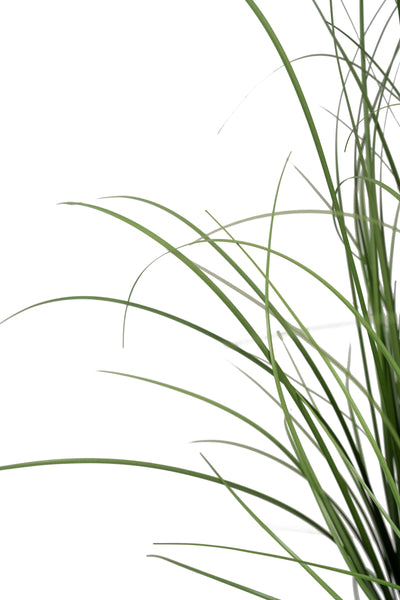 Iarba artificiala Onion 120 cm cu 7 flori de lavanda mov