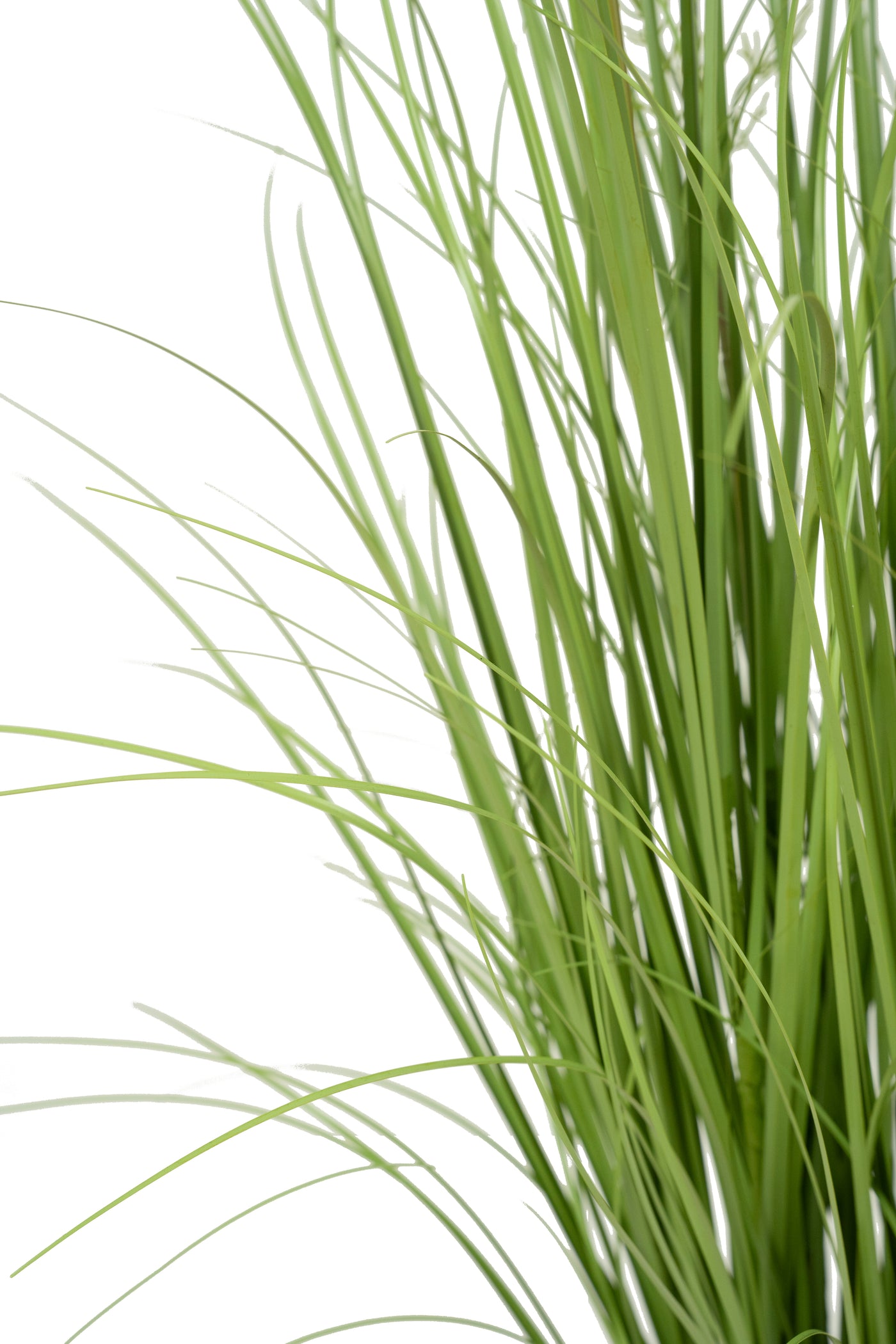 Iarba artificiala Onion 120 cm cu 9 flori de morcov albe