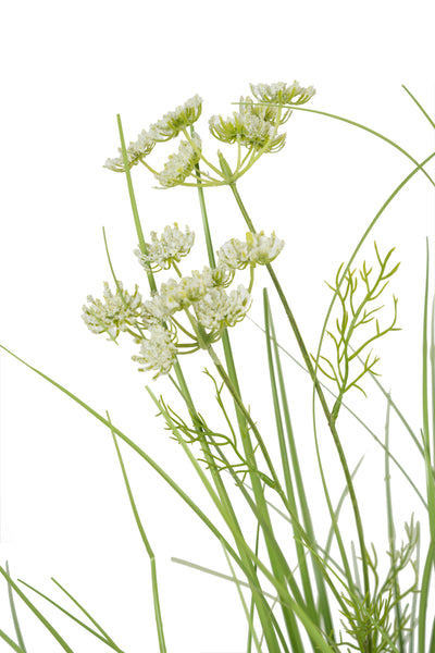 Iarba artificiala Onion 120 cm cu 9 flori de morcov albe