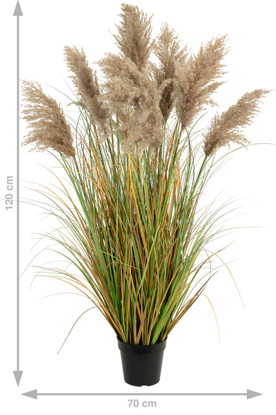 Iarba artificiala Onion 120 cm cu 9 flori naturale de pampas bej