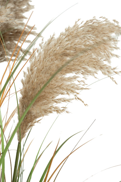 Iarba artificiala Onion 120 cm cu 9 flori naturale de pampas bej
