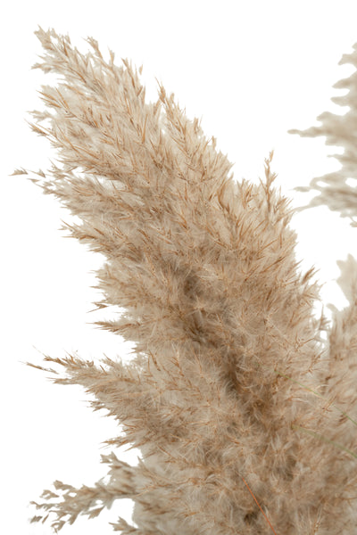 Iarba artificiala Onion 120 cm cu 9 flori naturale de pampas bej