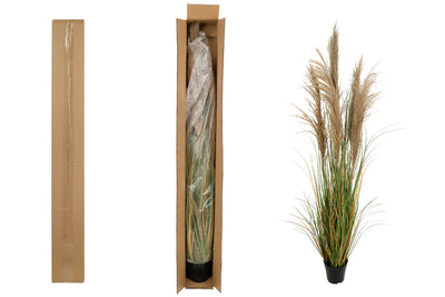 Iarba artificiala Onion 145 cm cu 5 flori naturale de pampas bej