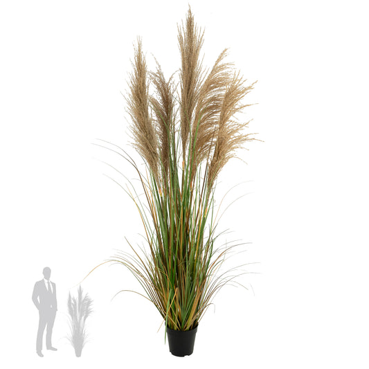 Iarba artificiala Onion 145 cm cu 5 flori naturale de pampas bej