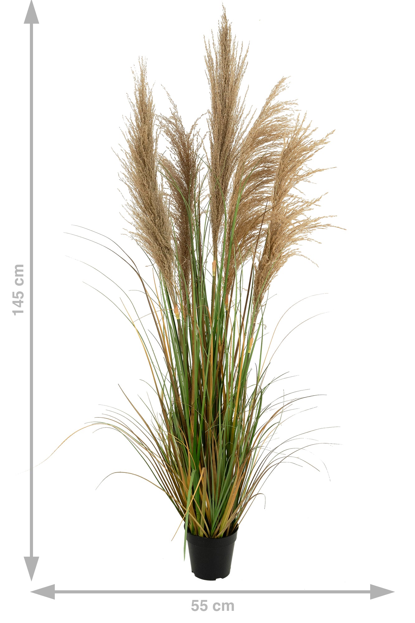 Iarba artificiala Onion 145 cm cu 5 flori naturale de pampas bej