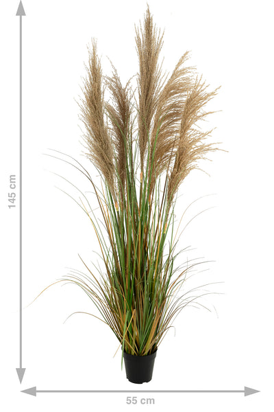 Iarba artificiala Onion 145 cm cu 5 flori naturale de pampas bej
