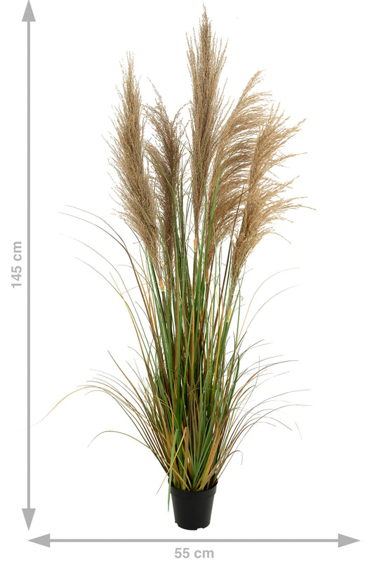 Iarba artificiala Onion 145 cm cu 5 flori naturale de pampas bej
