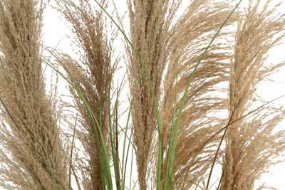 Iarba artificiala Onion 145 cm cu 5 flori naturale de pampas bej