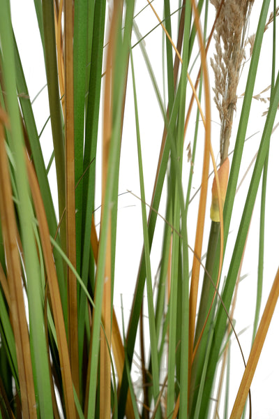 Iarba artificiala Onion 145 cm cu 5 flori naturale de pampas bej