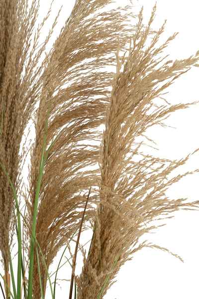 Iarba artificiala Onion 145 cm cu 5 flori naturale de pampas bej
