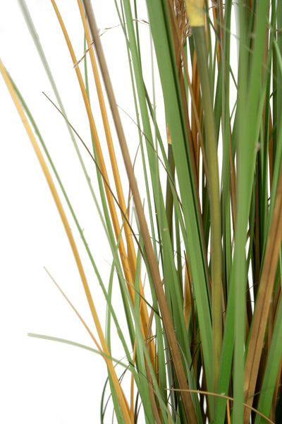 Iarba artificiala Onion 145 cm cu 5 flori naturale de pampas bej