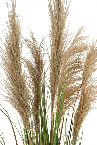Iarba artificiala Onion 145 cm cu 5 flori naturale de pampas bej