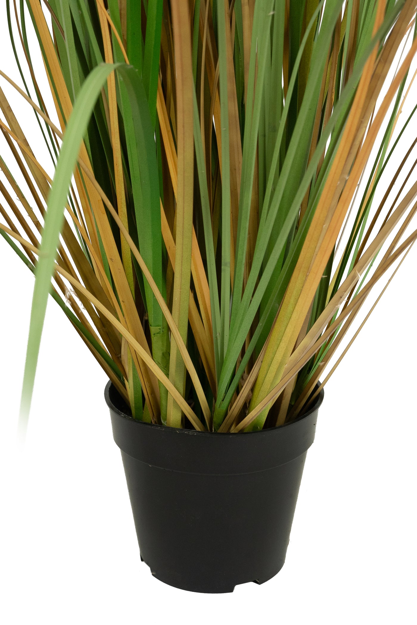 Iarba artificiala Onion 145 cm cu 5 flori naturale de pampas bej