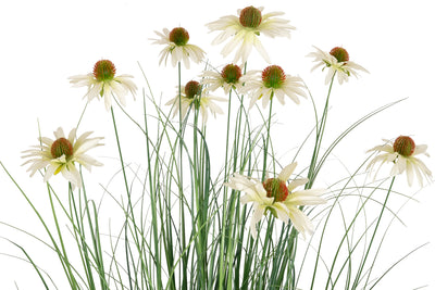 Iarba artificiala Onion 150 cm cu 10 flori albe de crizantema