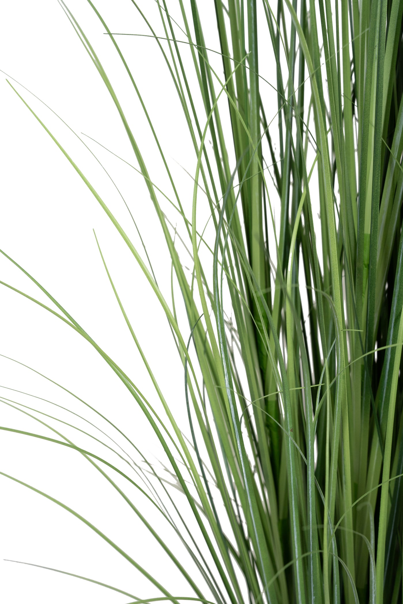 Iarba artificiala Onion 150 cm cu 10 flori albe de crizantema