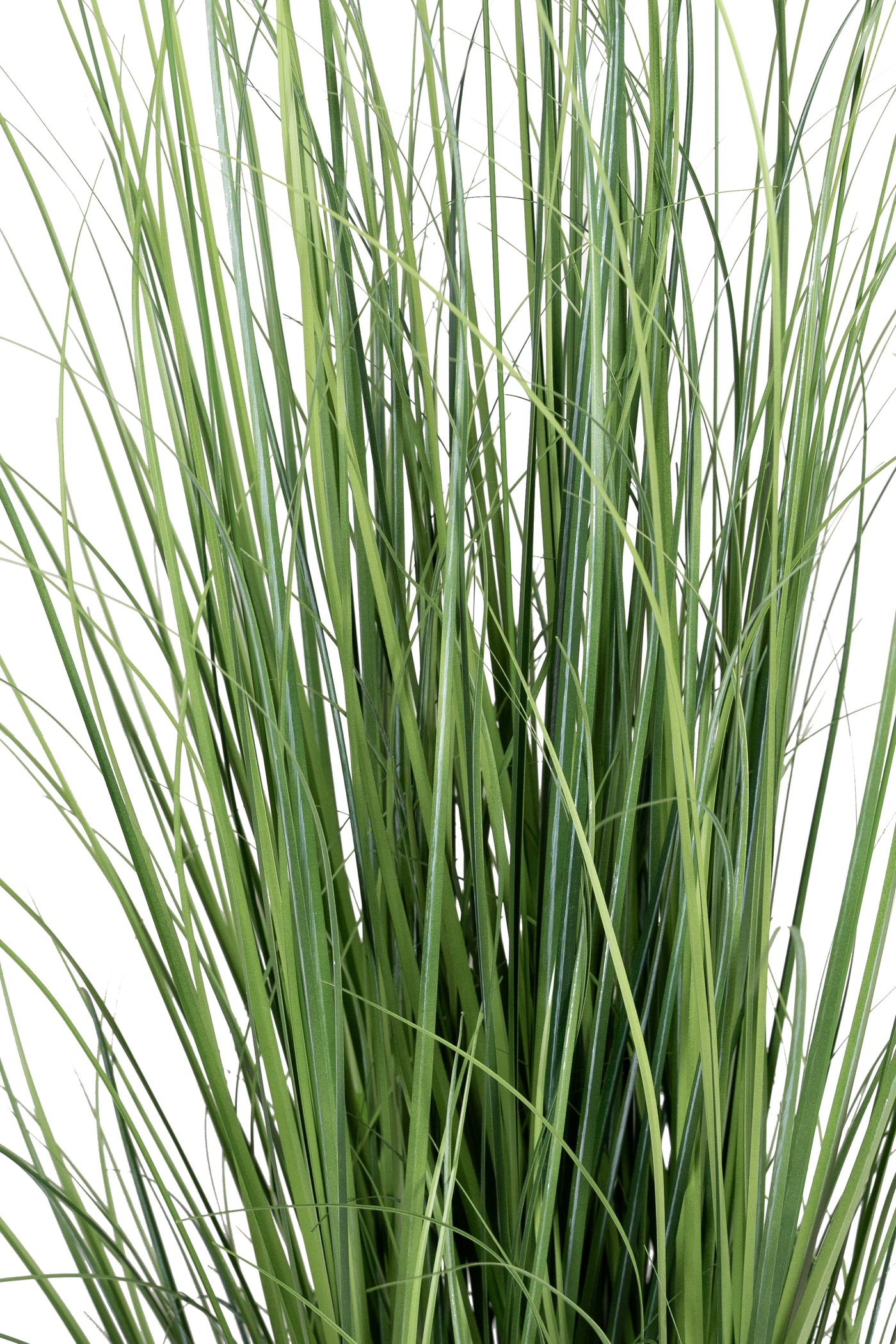 Iarba artificiala Onion 150 cm cu 10 flori albe de crizantema