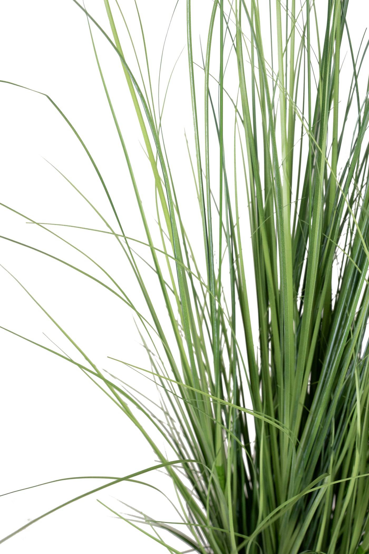 Iarba artificiala Onion 150 cm cu 10 flori albe de crizantema