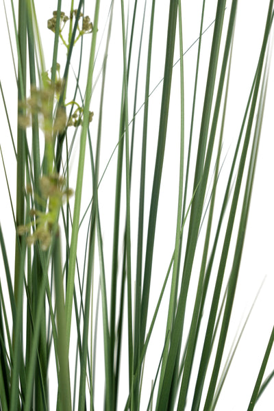 Iarba artificiala Onion 150 cm cu 11 flori de praz verzi