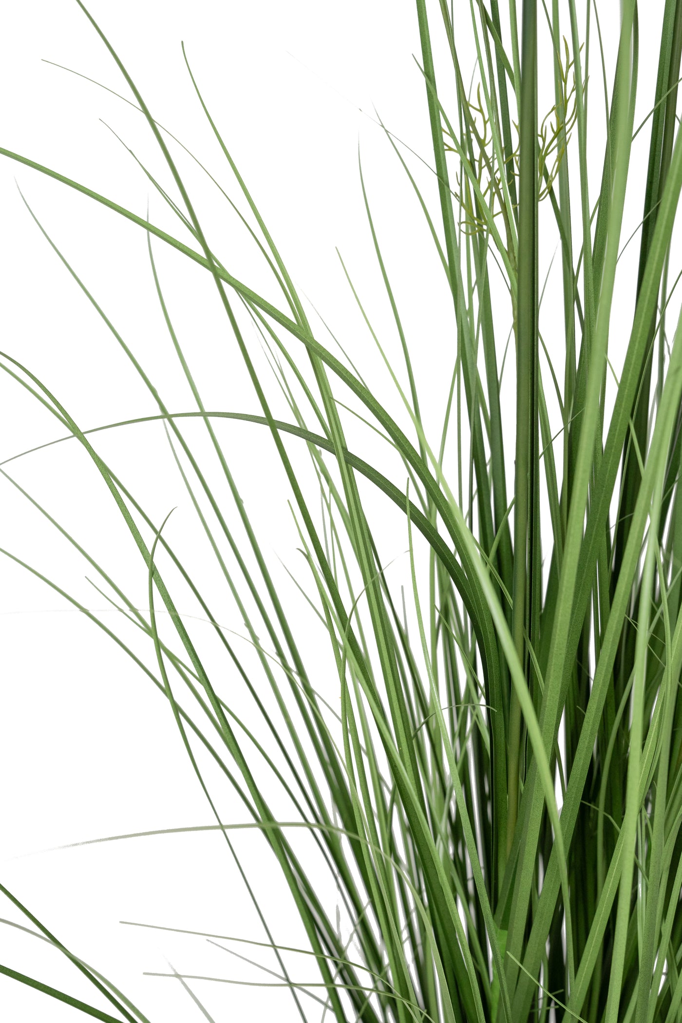 Iarba artificiala Onion 150 cm cu 12 flori de morcov galbene