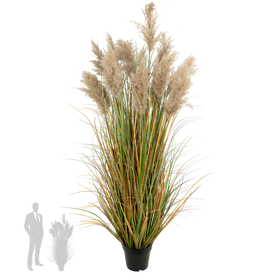 Iarba artificiala Onion 150 cm cu 13 flori naturale de pampas bej deschis