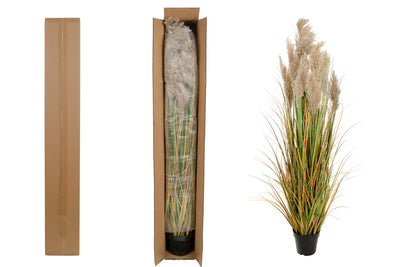 Iarba artificiala Onion 150 cm cu 13 flori naturale de pampas bej deschis