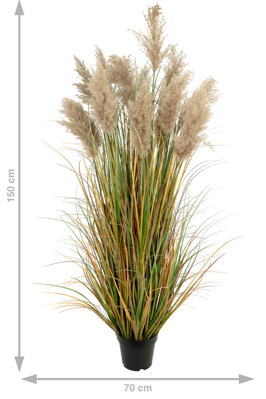 Iarba artificiala Onion 150 cm cu 13 flori naturale de pampas bej deschis