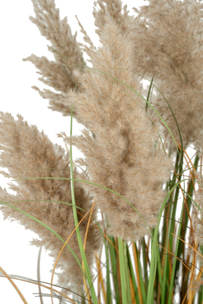 Iarba artificiala Onion 150 cm cu 13 flori naturale de pampas bej deschis