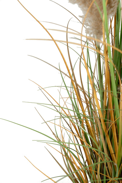 Iarba artificiala Onion 150 cm cu 13 flori naturale de pampas bej deschis