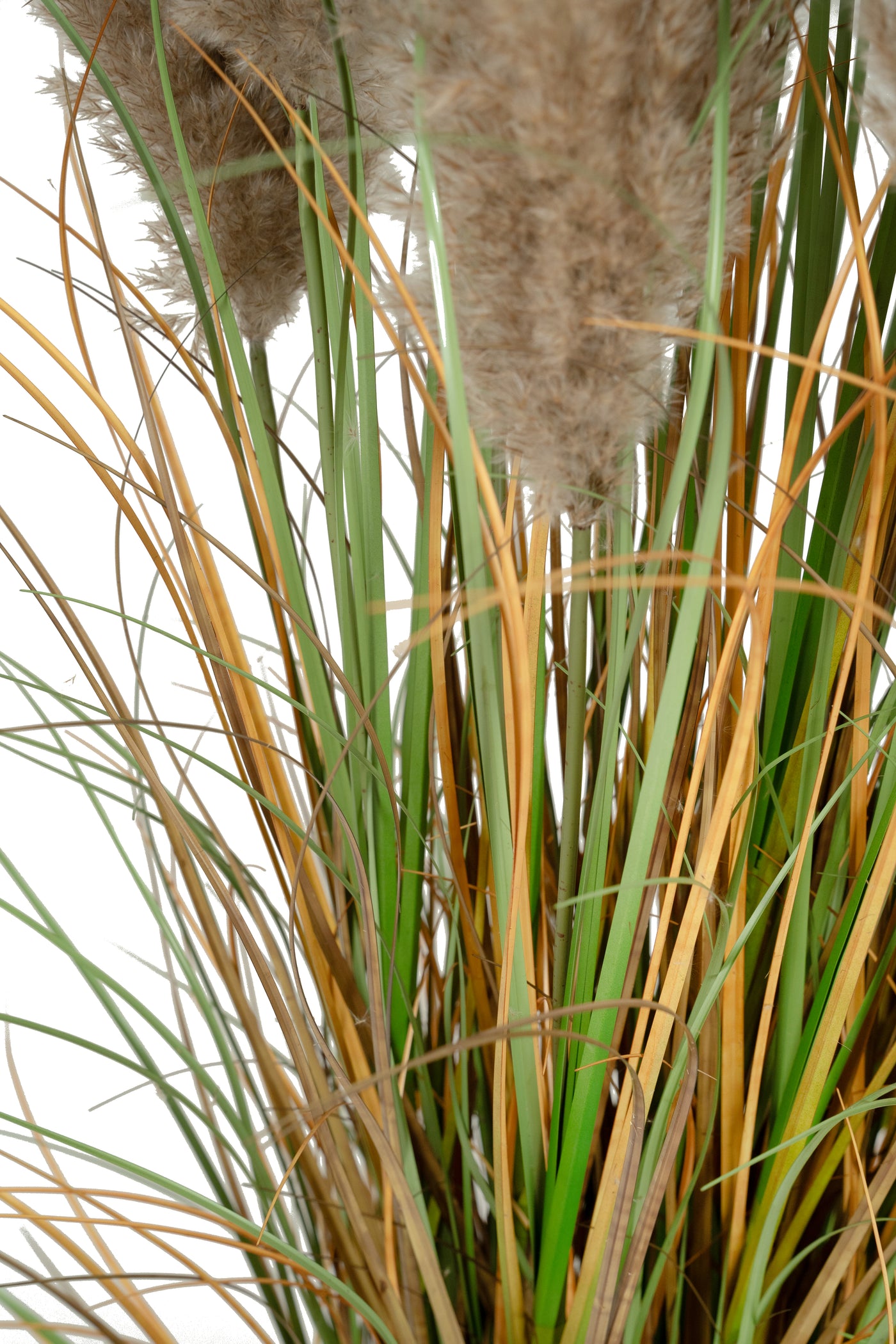 Iarba artificiala Onion 150 cm cu 13 flori naturale de pampas bej deschis
