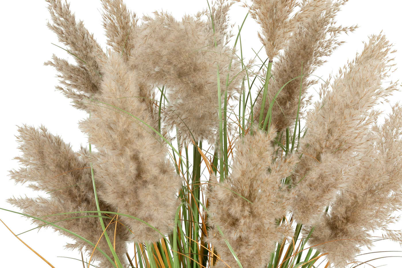 Iarba artificiala Onion 150 cm cu 13 flori naturale de pampas bej deschis