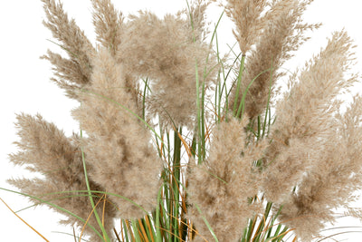 Iarba artificiala Onion 150 cm cu 13 flori naturale de pampas bej deschis