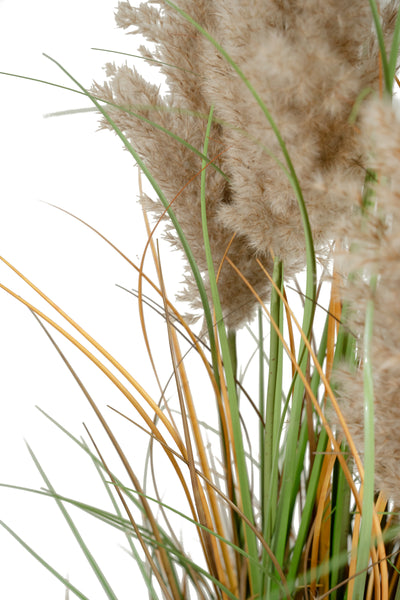 Iarba artificiala Onion 150 cm cu 13 flori naturale de pampas bej deschis