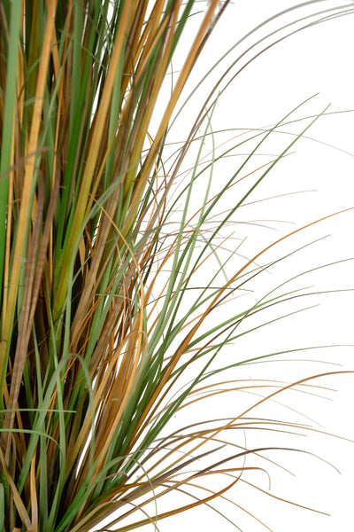Iarba artificiala Onion 150 cm cu 13 flori naturale de pampas bej deschis