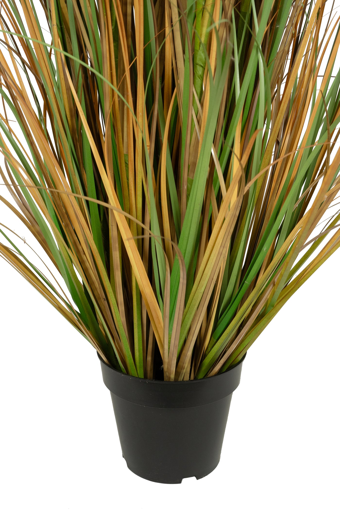 Iarba artificiala Onion 150 cm cu 13 flori naturale de pampas bej deschis
